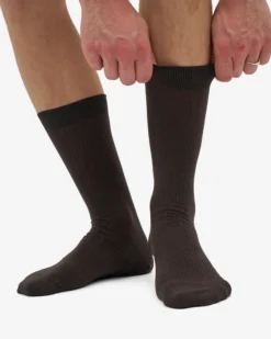 Classic Organic Sock - Coffee Brown (3-Pack)