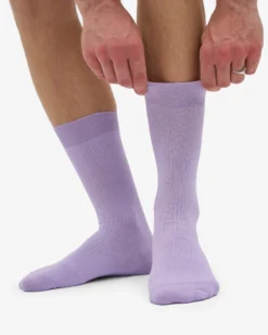 Classic Organic Sock - Soft Lavender (3-Pack)