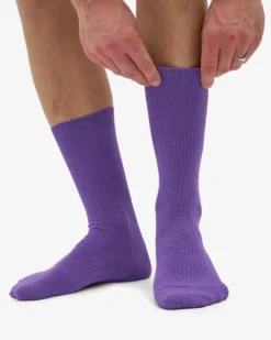 Classic Organic Sock - Ultra Violet (3-Pack)