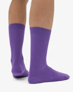 Classic Organic Sock - Ultra Violet (3-Pack)