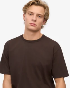 Classic Organic Tee - Coffee Brown (3-Pack)