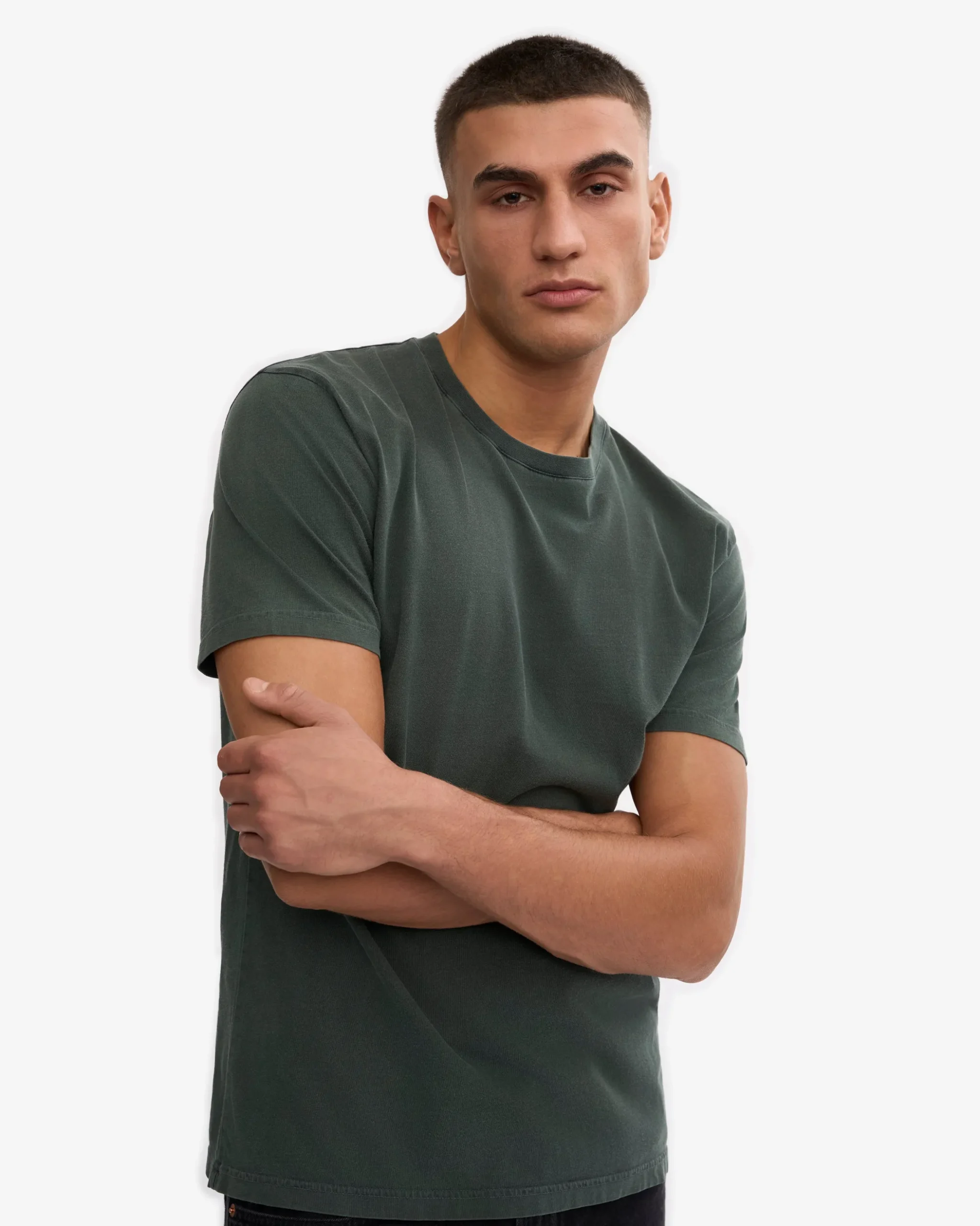 Classic Organic Tee - Midnight Forest