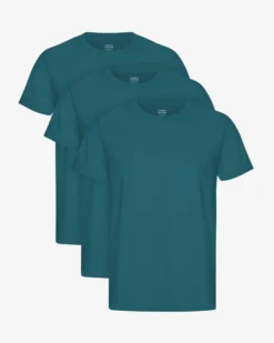 Classic Organic Tee - Ocean Green (3-Pack)