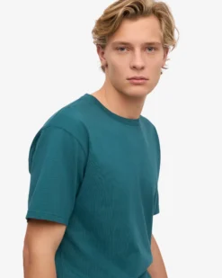 Classic Organic Tee - Ocean Green (3-Pack)