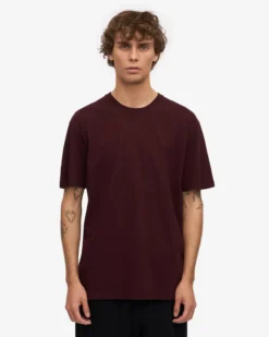 Classic Organic Tee - Oxblood Red (3-Pack)
