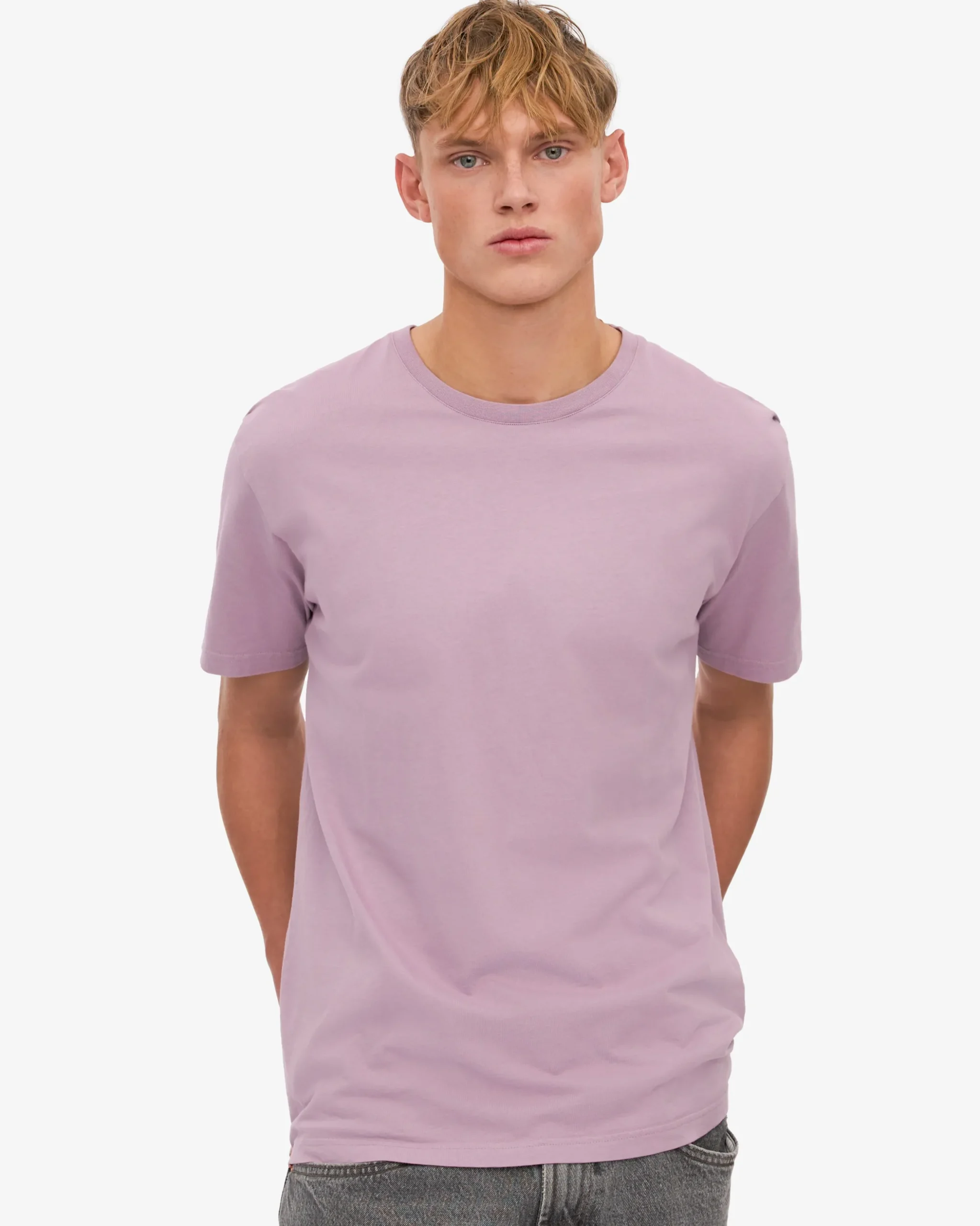 Classic Organic Tee - Pearly Purple (3-Pack)