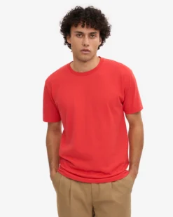 Classic Organic Tee - Red Tangerine (3-Pack)
