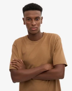 Classic Organic Tee - Sahara Camel (3-Pack)