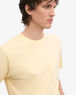 Classic Organic Tee - Soft Yellow (3-Pack)