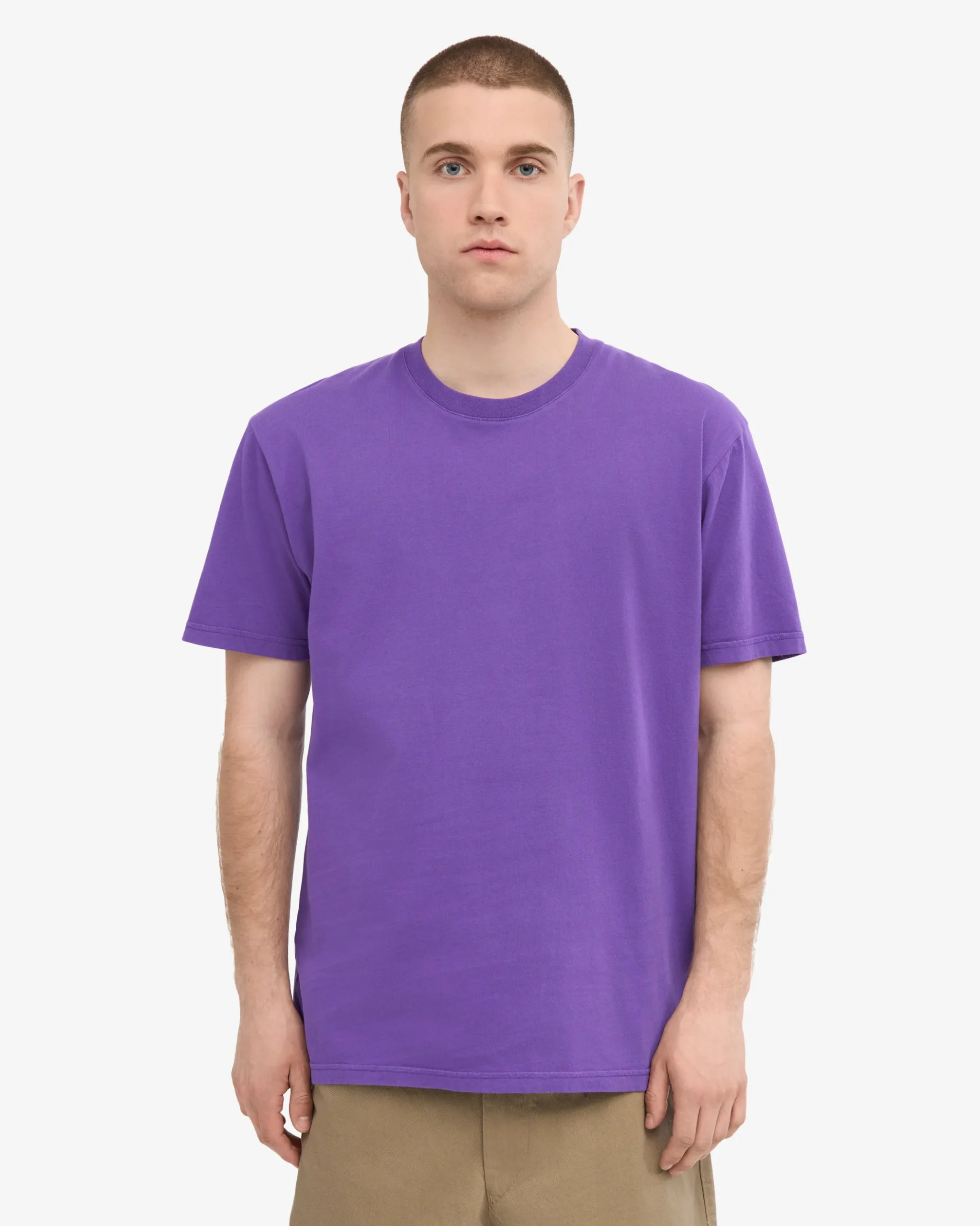 Classic Organic Tee - Ultra Violet (3-Pack)