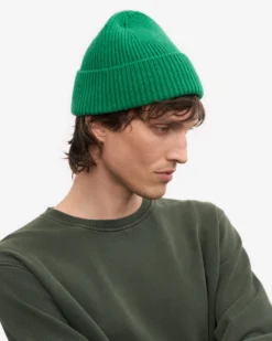 Merino Wool Beanie - Kelly Green