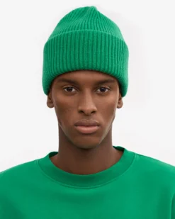 Merino Wool Hat - Kelly Green