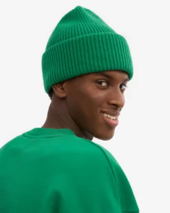 Merino Wool Hat - Kelly Green