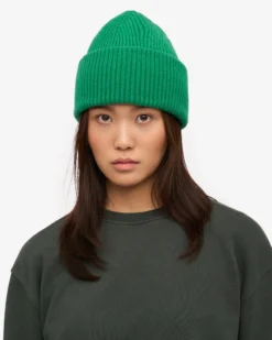 Merino Wool Hat - Kelly Green