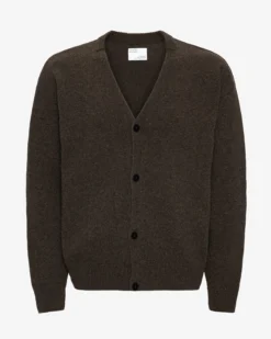 Merino Wool V-Neck Cardigan - Coffee Brown