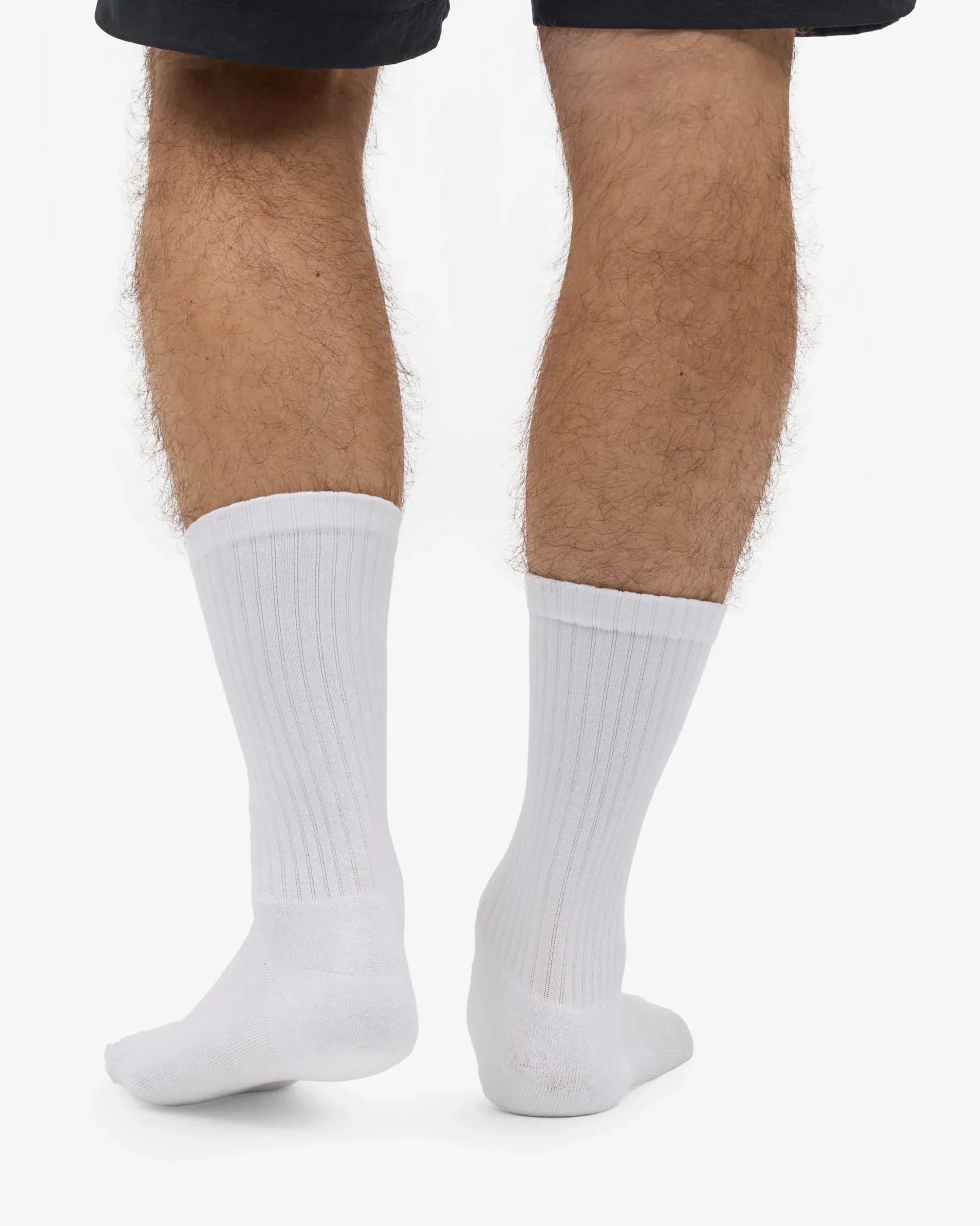 Organic Active Sock - Optical White (3-Pack)