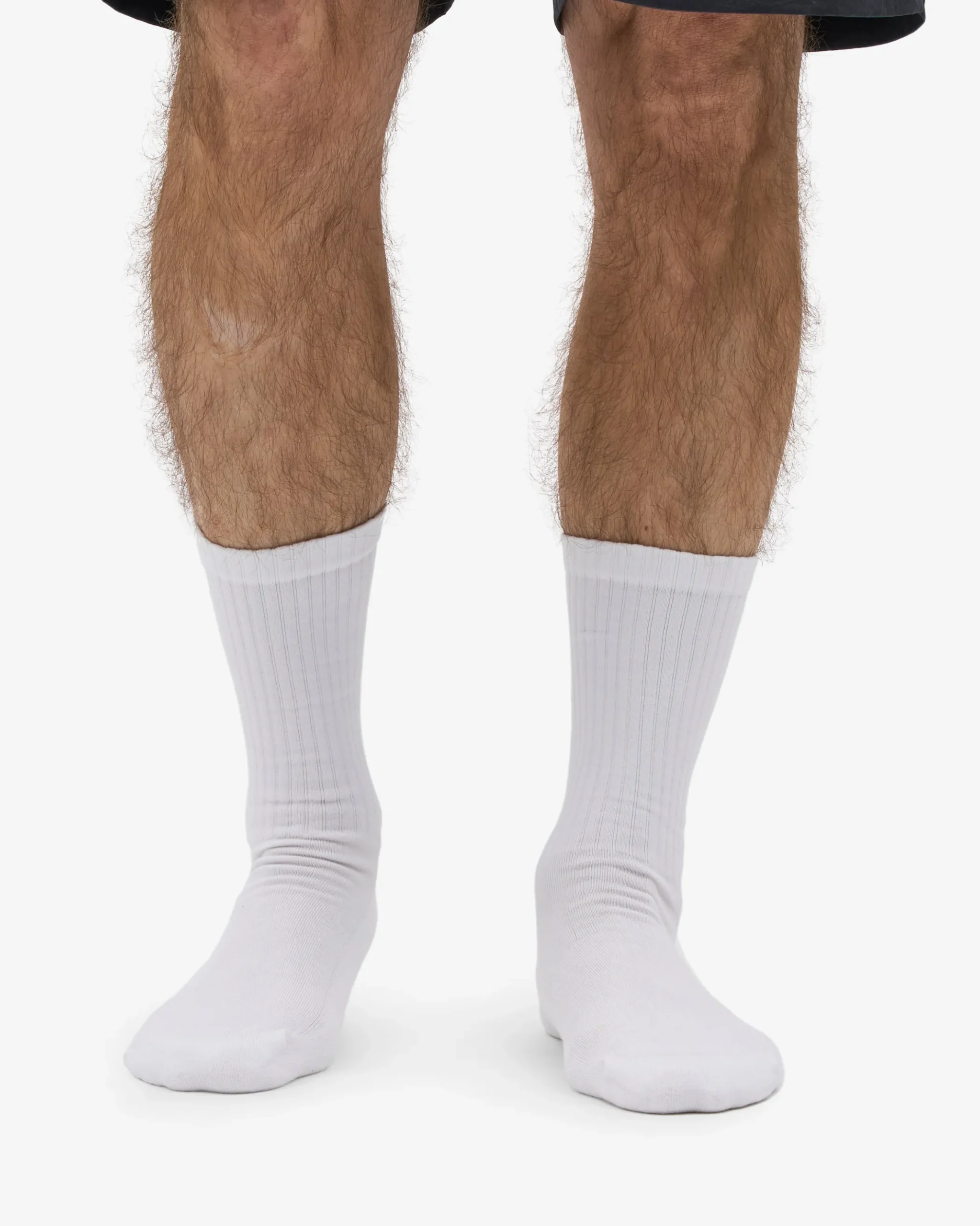 Organic Active Sock - Optical White (3-Pack)