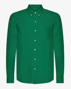 Organic Button Down Shirt - Kelly Green