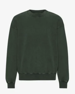 Organic Oversized Crew - Midnight Forest