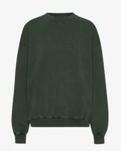 Organic Oversized Crew - Midnight Forest