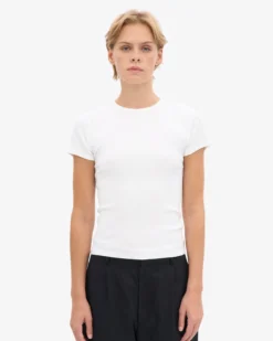 Organic Rib Tee - Mixed 04 (3-Pack)