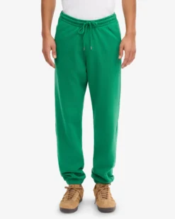 Organic Sweatpants - Kelly Green