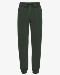 Organic Sweatpants - Midnight Forest