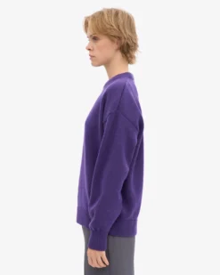 Oversized Merino Wool Crew - Ultra Violet