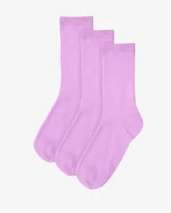 Women Classic Organic Sock - Cherry Blossom (3-Pack)